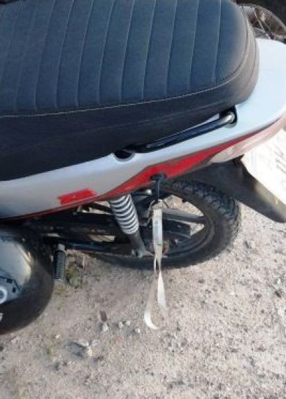 La UEAR retiró animales que ponían en riesgo la seguridad del tránsito
